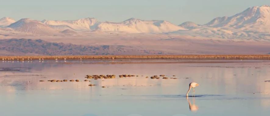 atacama chile